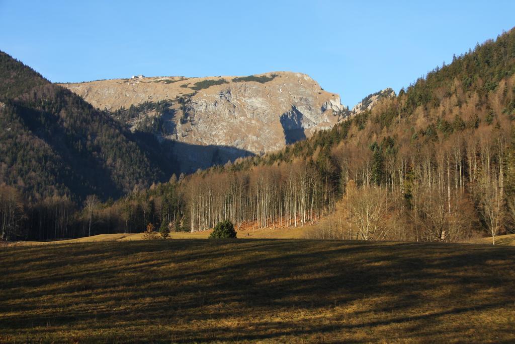 Haus Seeschwalbe Saint Wolfgang Екстериор снимка